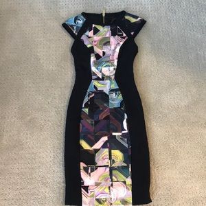 Ted Baker SIBONNY Dress Size 0